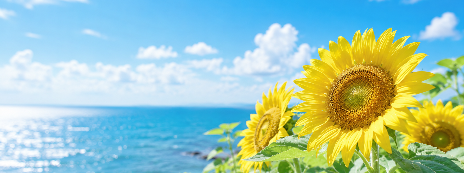 🌻 夏季休業のお知らせ 🌻